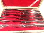 Vintage 1960s Japanese Steak Knives Set of 6