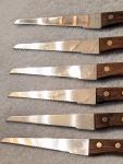 Japanese Serrated Bread and Fish Knife Set