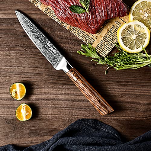 Aisyoko 5-inch Japanese Paring Knife - VG-10 Steel