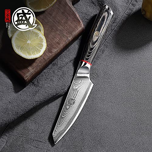 MITSUMOTO SAKARI 4" Japanese Paring Knife: AUS-10 Damascus