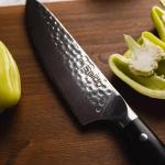 Seido 8" Shujin Gyuto Damascus Knife with G10 Handle