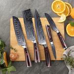 Seido 5-Piece Damascus Steel Chef Knife Set