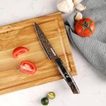 Seido Kurogane 5" Petty Knife - VG-10 Damascus