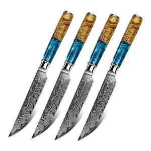 Seido Executive Steak Knives - VG10 Damascus Steel