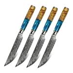 Seido Executive Steak Knives - VG10 Damascus Steel