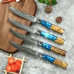 Seido Executive Steak Knives - VG10 Damascus Steel