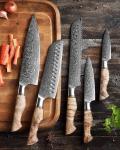 HEZHEN Damascus Steel Chef Knife Set
