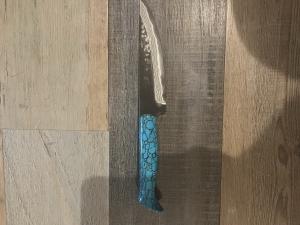Takeshi Saji Hand Forged Japanese Chef Knife
