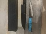 Takeshi Saji Hand Forged Japanese Chef Knife