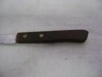 Japanese Stainless Steel Serrated Kitchen Knife 4.25