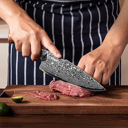 KINGOD Damascus Chef Knife - Japanese VG10 Steel