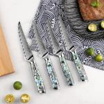 Seido Knives Awabi Serrated Steak Knife Set