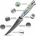 Seido Knives Awabi Serrated Steak Knife Set