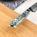 Seido Knives Awabi Serrated Steak Knife Set