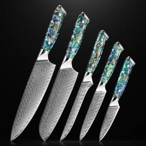 Damascus Steel Japanese Chef Knife Set - 5 Pieces