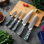 Damascus Steel Japanese Chef Knife Set - 5 Pieces