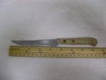Japanese Stainless Steel Utility Knife - 4.5