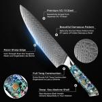 Damascus Steel Japanese Chef Knife Set - 5 Pieces