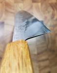 Tsunehisa 240mm Gyuto Knife with SLD Steel