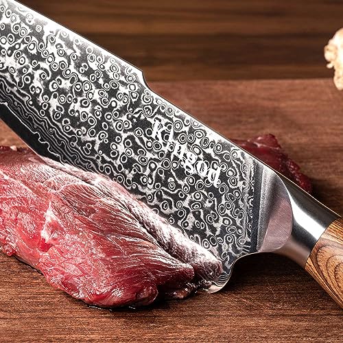 KINGOD Damascus Chef Knife - Japanese VG10 Steel