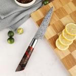 Seido Shinko 5" Petty Knife - Razor Sharp Damascus