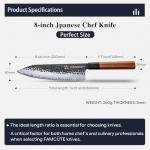 FAMCÜTE 8'' Hand-Forged Japanese Chef Knife