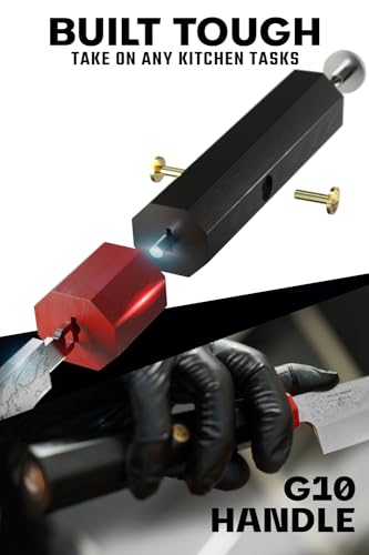 DALSTRONG 10.5" Yanagiba Sushi Knife - Ronin Series