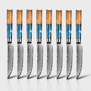 Seido VG10 Damascus Steel Steak Knife Set