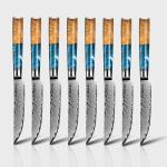 Seido VG10 Damascus Steel Steak Knife Set