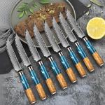 Seido VG10 Damascus Steel Steak Knife Set