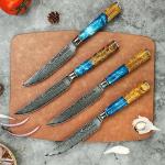 Seido VG10 Damascus Steel Steak Knife Set