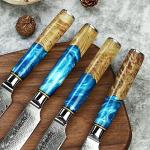 Seido VG10 Damascus Steel Steak Knife Set