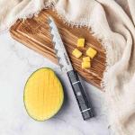 Seido Epokishi 5" Petty Knife - AUS-10 Steel