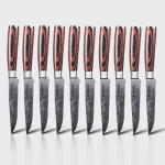 Seido 10-Piece Premium Serrated Steak Knife Set