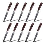 Seido 10-Piece Premium Serrated Steak Knife Set