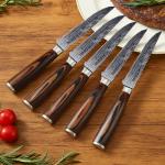 Seido 10-Piece Premium Serrated Steak Knife Set