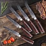 Seido 10-Piece Premium Serrated Steak Knife Set