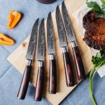 Seido 10-Piece Premium Serrated Steak Knife Set