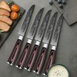Seido 10-Piece Premium Serrated Steak Knife Set