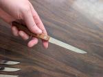 Vintage Japanese Stainless Steel Steak Knife Set
