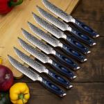 Seido Kanpeki 8-Piece Steak Knife Set