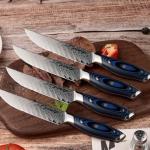Seido Kanpeki 8-Piece Steak Knife Set
