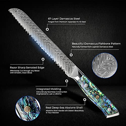 SENKEN 8" Japanese Damascus Bread Knife - Umi Collection
