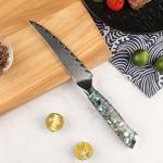 Seido Awabi Serrated Steak Knives Set of 8