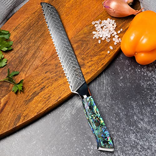 SENKEN 8" Japanese Damascus Bread Knife - Umi Collection