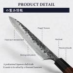 8-Inch Japanese Gyuto Chef Knife, Hand Forged