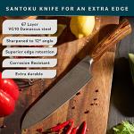 Ultra-Sharp Japanese Kitchen Knife Set