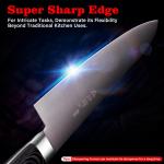 10.6" Professional Japanese Gyuto Chef Knife