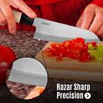 Japanese Sushi & Sashimi Chef Knife Set - 4 Pieces