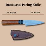 Damascus Steel Japanese Paring Knife with Sheath
